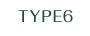 TYPE6